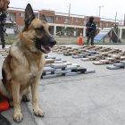  Los interesados en los perros jubilados de la policía deben adelantar el proceso con el CRAC.  