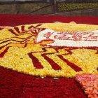  Un representante de Guinness verifica el proceso. 