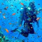  Con 138 mil kilómetros cuadrados de extensión en reserva marina y 71 sitios de visita marinos, este patrimonio Natural de la Humanidad te espera para que bucees en sus cristalinas aguas. 