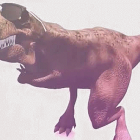  El meme se ha viralizado en redes sociales 