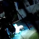  Hombre acusado de violación en México fue encerrado en una jaula con cocodrilos. 