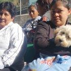  La campaña busca prevenir la sobrepoblación animal.  