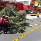  La planta se desplomó sobre un taxi, el cual se encontraba cercano al punto. A pesar del percance, los bomberos constataron que no había gente lesionada. 