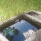  En un tanque de lavandería de 60 centímetros de profundidad fueron encontrados  una madre de familia junto a su vástago de 9 años. 