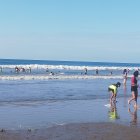 Solo cinco playas en Manabí acogerán a turistas.