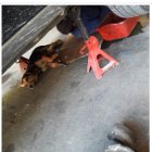 A Jack le gustaba ver como Jhon arreglaba los motores.