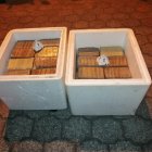 En la camioneta llevaban hieleras con camarón entre las que habían ocultado marihuana.