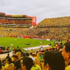 Se piensa comenzar con el 10 % de la asistencia en los estadios.