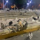 La colonia está ubicada en la plazoleta El pescador, en Manta.