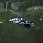 Hasta hoy en la mañana nadie reconocía a la víctima.