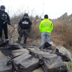 Parte del alcaloide que hallaron los agentes en una fosa de la playa de San Mateo.