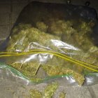 El microtráfico de sustancias, como la marihuana, no se detiene. Mil gramos fueron capturados de esta droga fueron capturados