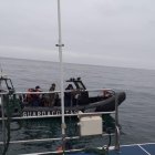 Equipos de la Marina, la Fuerza Aérea y la Policía participan en las tareas de búsqueda y rescate.