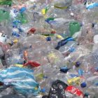 El trabajo de recuperación de materiales ya no se podrá ejercer en las calles y en botaderos