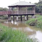 Los comuneros limpiaron el estanque donde yacen los reptiles.