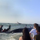 Comuneros lograron que el animal se retire de la playa de la isla.