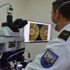 Con un microscopio especial verifican las similitudes que tienen los testigos balístico, con los existentes en una base de datos