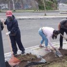 Los chicos deben cumplir varias horas de trabajo comunitario.
