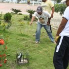 Unos pobladores se asustaron con el inusual hallazgo.