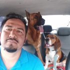 El 'Tío Tomás' conduce a dos mascotas hasta el sitio encomendado por sus amos.