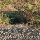 El cuerpo de la colombiana Katherine Jiménez Parra fue hallado junto a un canal de agua, en un sector desolado de Durán.