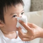 Las personas alérgicas tienen mayor riesgo.