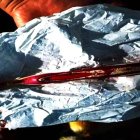 Imagen del cepillo de dientes extraído.