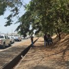 En este lugar fue hallado el cuerpo de la chica. Estaba  cubierto con hojas.