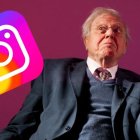 Sir David Attenborough, un prestigioso divulgador y científico inglés, obtuvo un gran récord en Instagram.