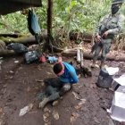 Durante el operativo hubo un detenido, quien fue liberado por falta de pruebas.