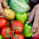 En Ecuador, el 24 % de los niños menores de cinco años están desnutridos.