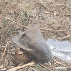 Se desconoce de quiénes serían los restos hallados por agricultores.