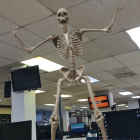 Puede aparecer en tu entorno con tan solo googlear: esqueleto humano.