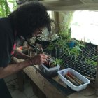 Bruno creó su propio invernadero y también una compostera con lombrices.