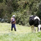 El agua de consumo humano es usada para el riego de pastizales.