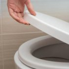 Referencial. Primero debo inspeccionar los olores del baño antes de usarlo.