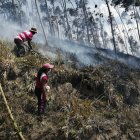 El fuego destruyó varias hectáreas de bosque y causó pérdidas de animales domésticos y aves.