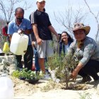 Después de colocadas las plantas en el suelo iniciaron el proceso de regarlas para lograr la producción.