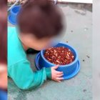 El pequeño, de dos años, sufre de una discapacidad que imposibilita el movimiento de sus piernas.