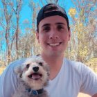 El can tiene apenas 6 dientes. Su edad podría estar entre los 6 y 7 años.