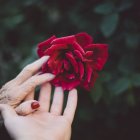 La muerte de un familiar se la puede canalizar de diferentes formas, pero con ayuda profesional.