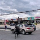 Los animalitos recorrían la avenida Ilaló.