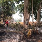 Alipio Villavicencio había ido a limpiar la finca, ubicada en el recinto Santa Rosa del cantón Baba.
