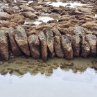 Estas hileras de piedras quedan al descubierto cuando el agua del mar desciende.