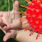 Un nuevo caso se da en el mundo por no respetar el confinamiento. Esa es la lección a aprender.