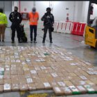 Parte de los estupefacientes incautados la semana pasada.