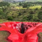 Una imagen de la escultura que ha generado polémicas en Brasil. ¿Crees que es para tanto?