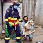 Perrito fue rescatado de una quebrada en El Condado.
