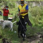 Mayra y Luis llevan a pasear a sus mascotas todos los días. No pueden dejarlas sueltas.