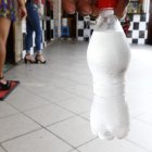 Quienes ingresan a los prostíbulos solo pueden consumir agua, colas o bebidas energizantes. No pueden consumir licor de ningún tipo.